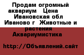 Продам огромный аквариум › Цена ­ 25 - Ивановская обл., Иваново г. Животные и растения » Аквариумистика   